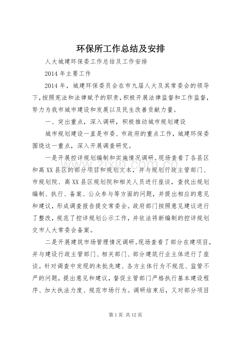 环保所工作总结及安排 .docx_第1页