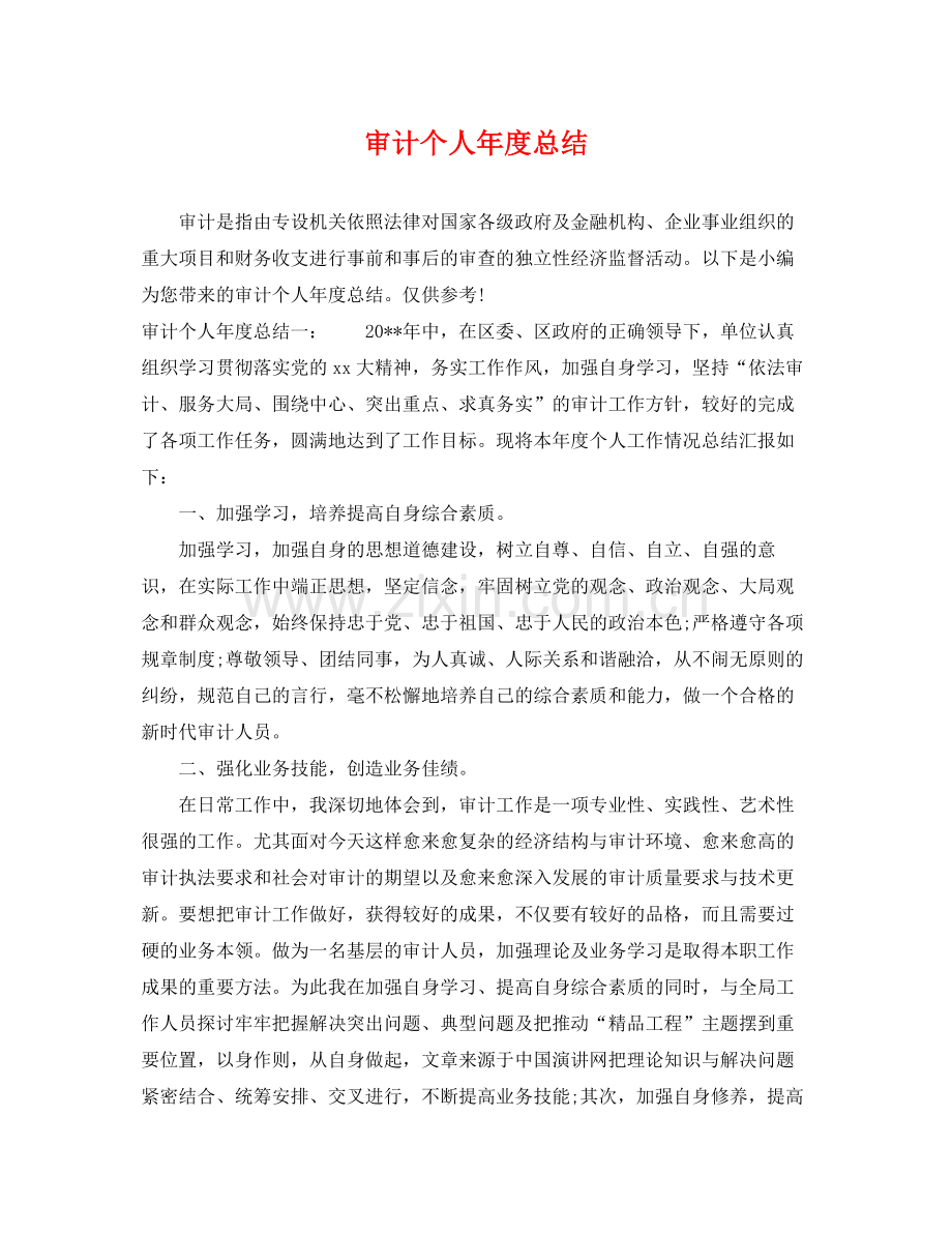 审计个人年度总结 .docx_第1页