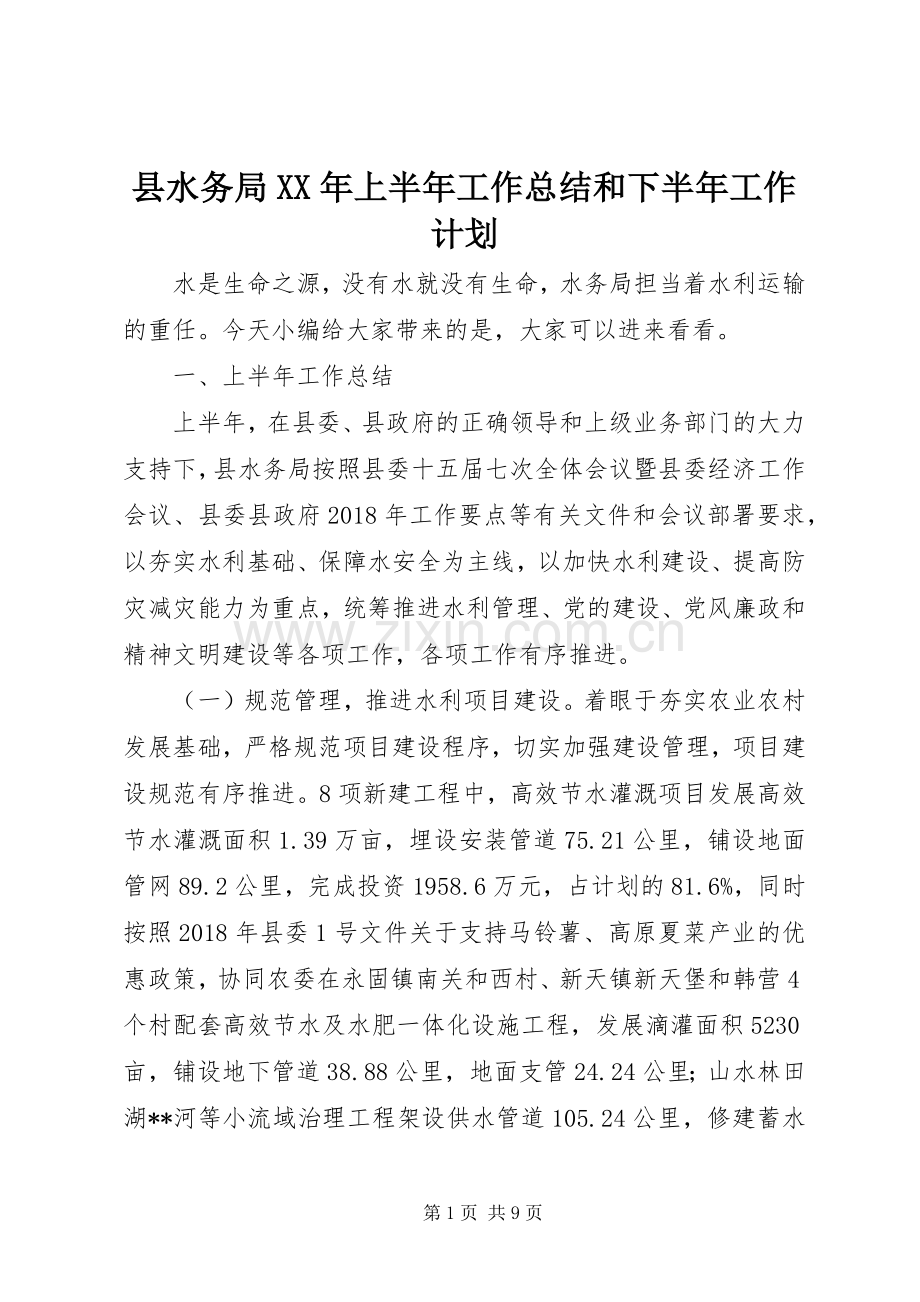 县水务局XX年上半年工作总结和下半年工作计划.docx_第1页