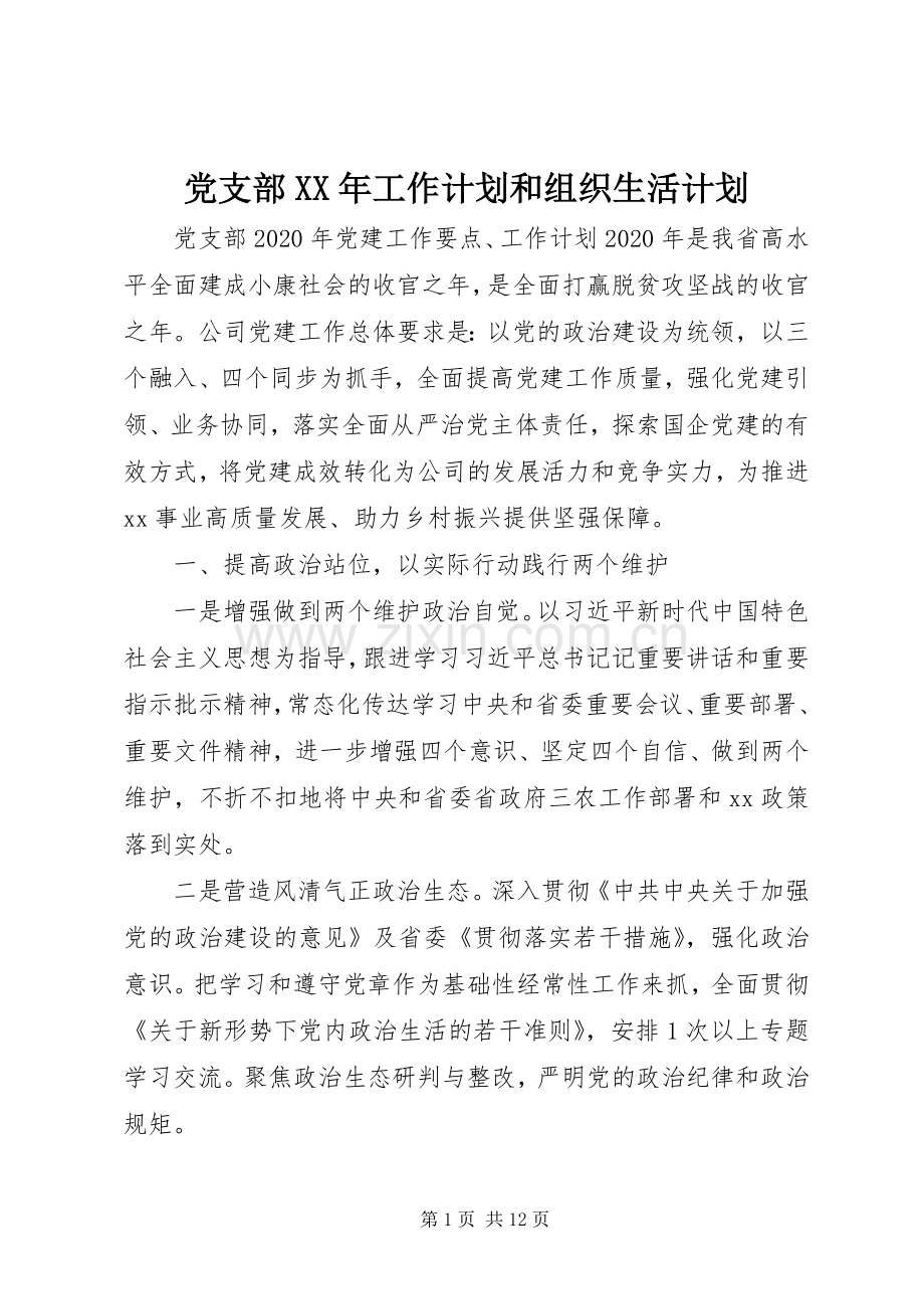 党支部XX年工作计划和组织生活计划.docx_第1页