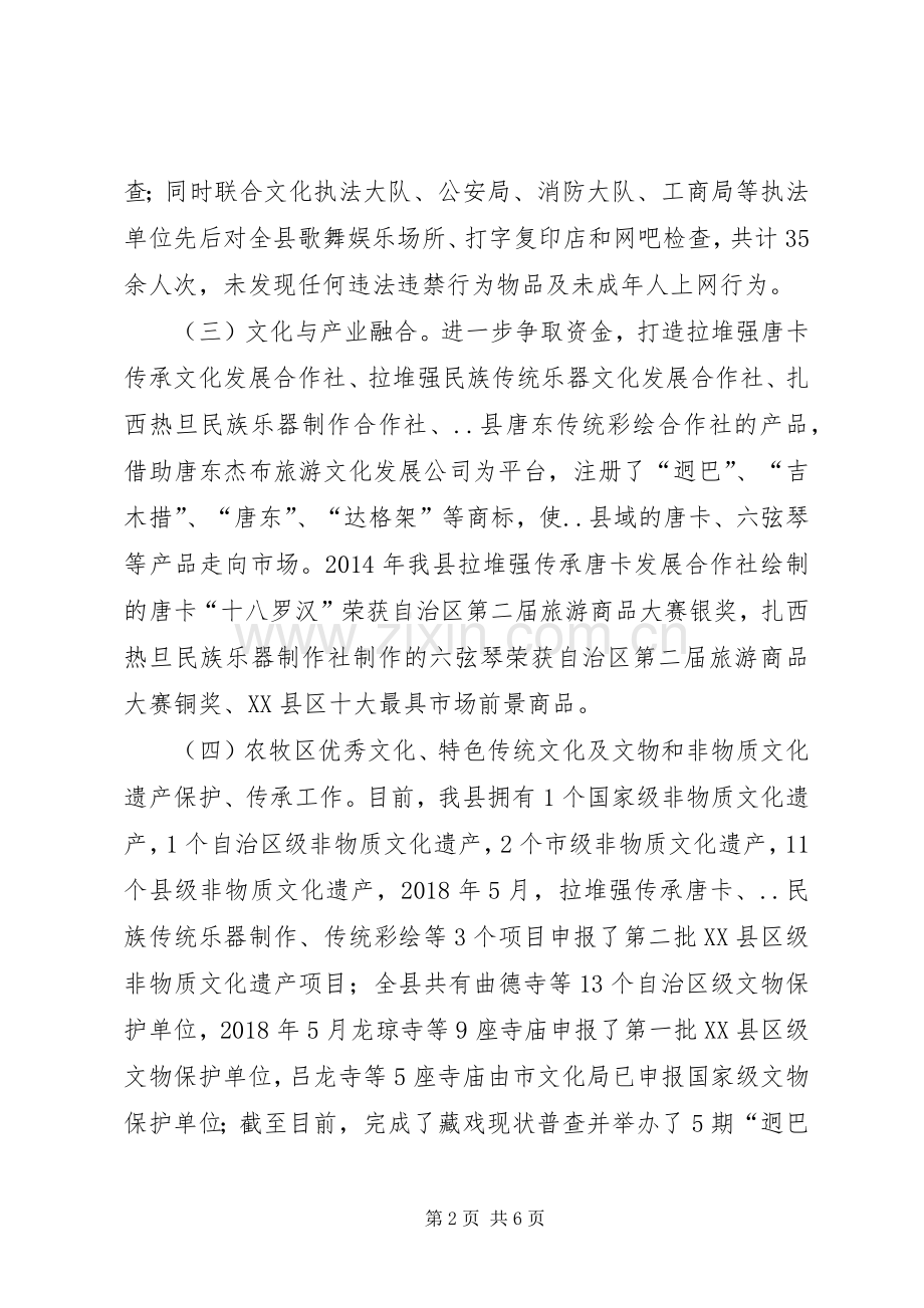 县文广局XX年上半年工作总结及下半年工作安排.docx_第2页