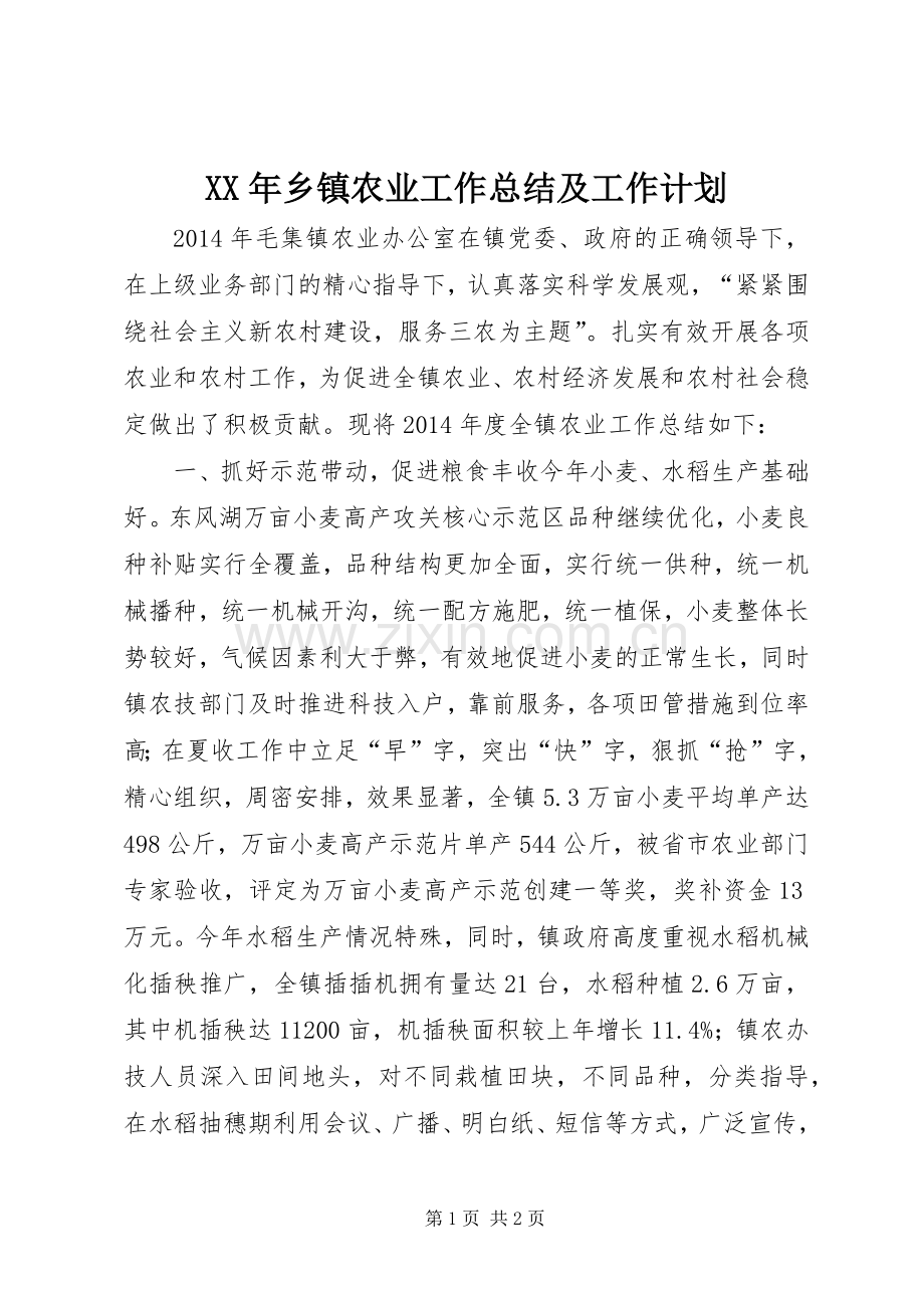 XX年乡镇农业工作总结及工作计划.docx_第1页