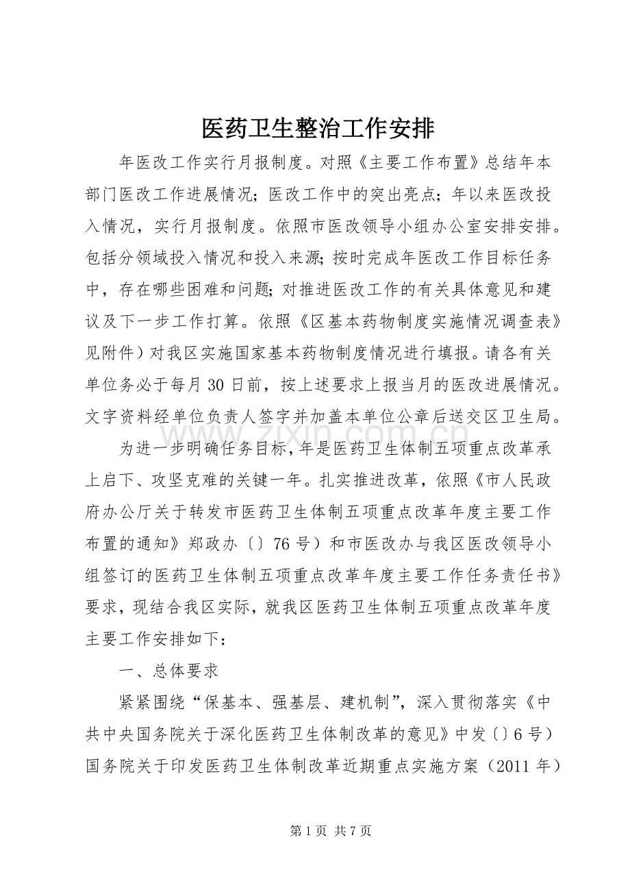 医药卫生整治工作安排.docx_第1页