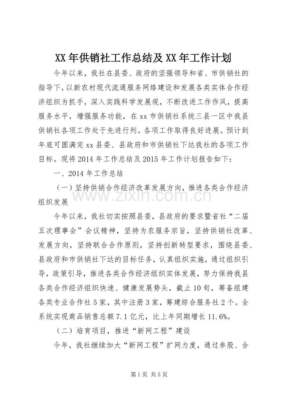 XX年供销社工作总结及XX年工作计划.docx_第1页