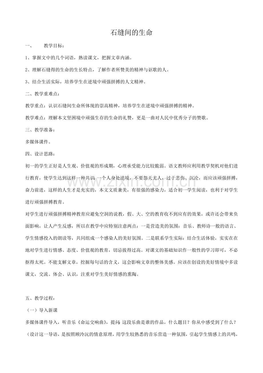 沪教版七年级语文上册石缝间的生命(2).doc_第1页