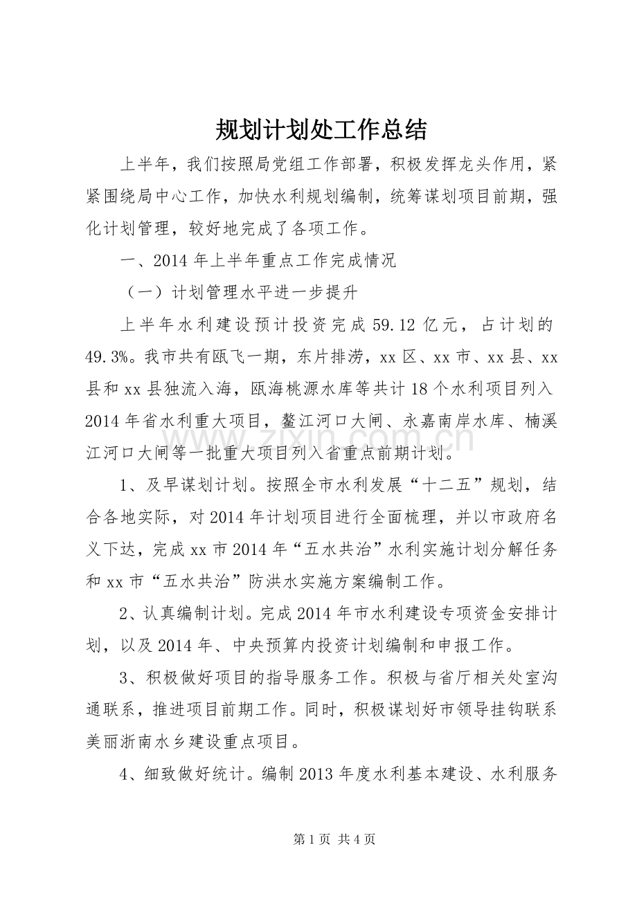 规划计划处工作总结.docx_第1页