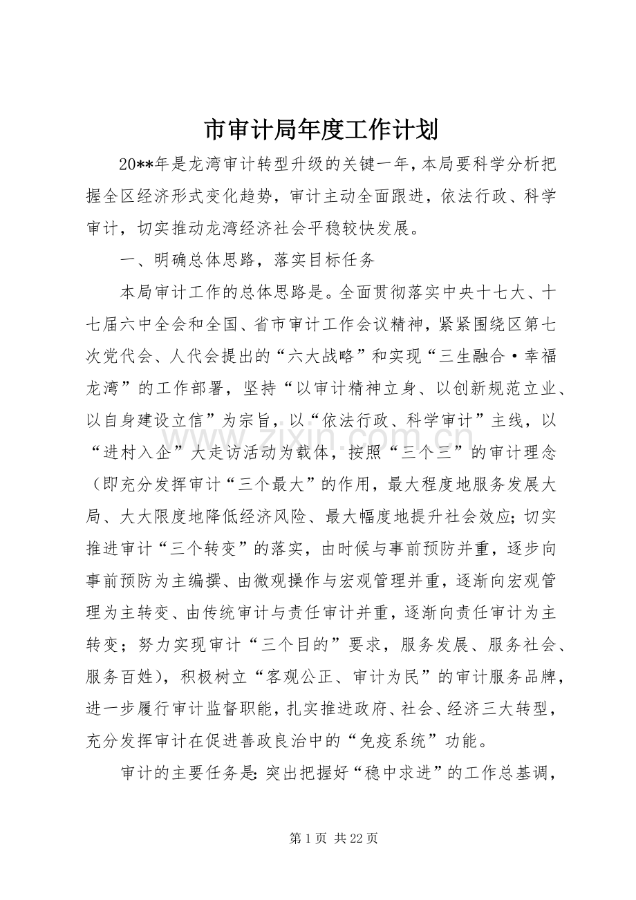 市审计局年度工作计划.docx_第1页