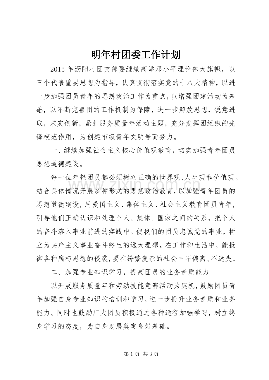 明年村团委工作计划.docx_第1页