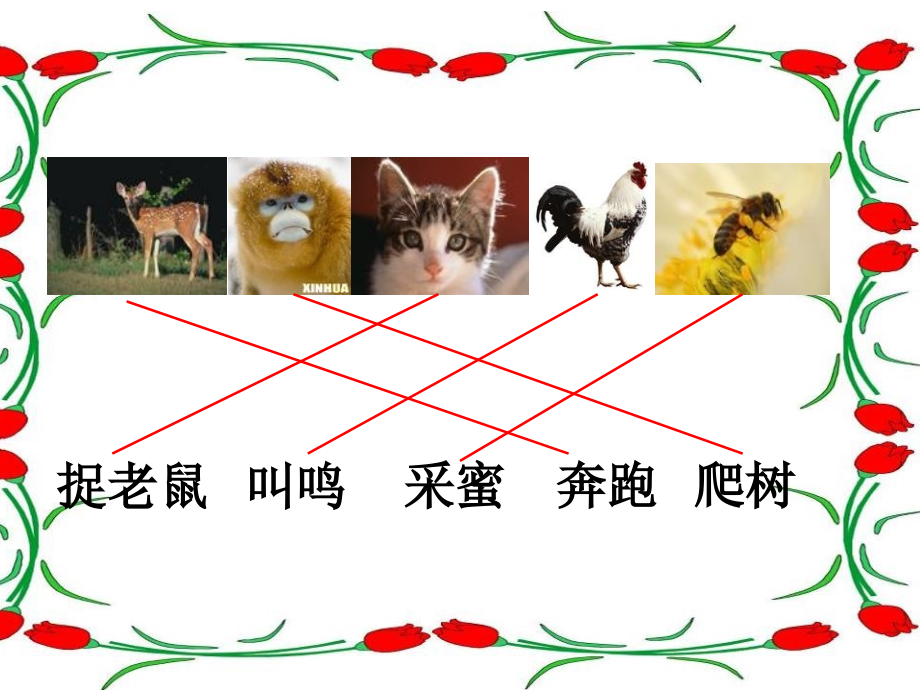 比本领.ppt.ppt_第2页