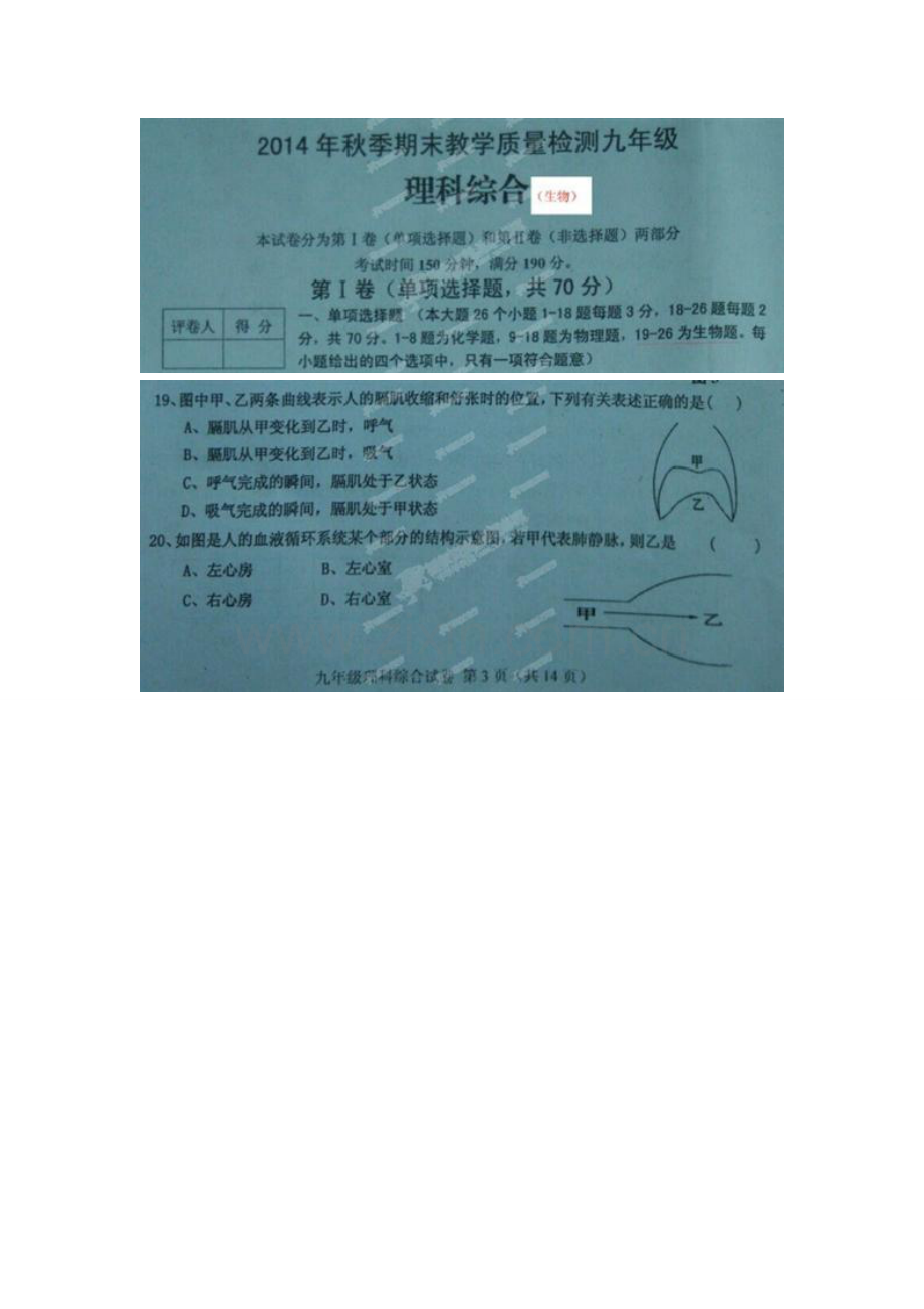 开江县2014-2015年九年级生物上学期期末试卷及答案.doc_第1页