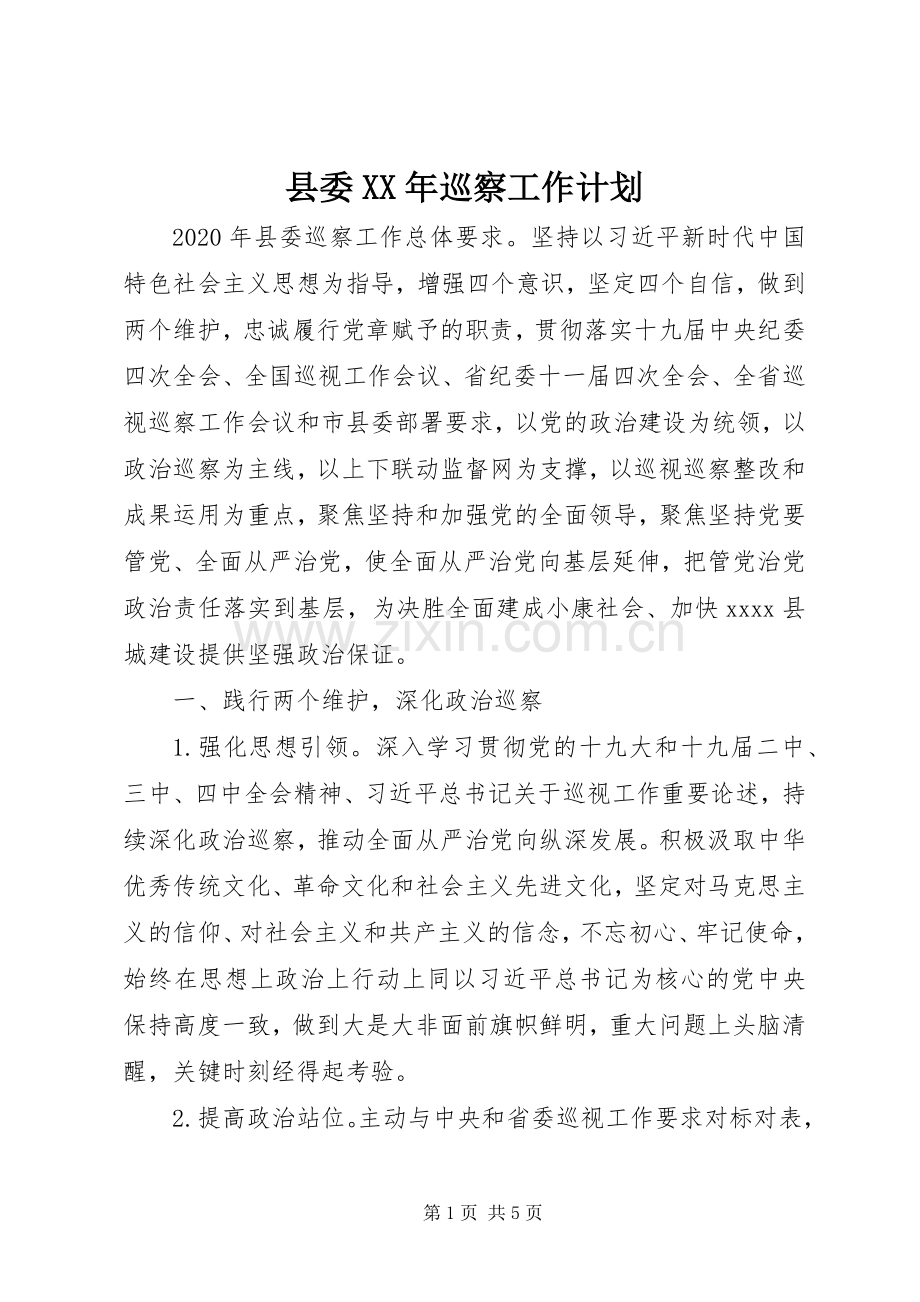 县委XX年巡察工作计划.docx_第1页