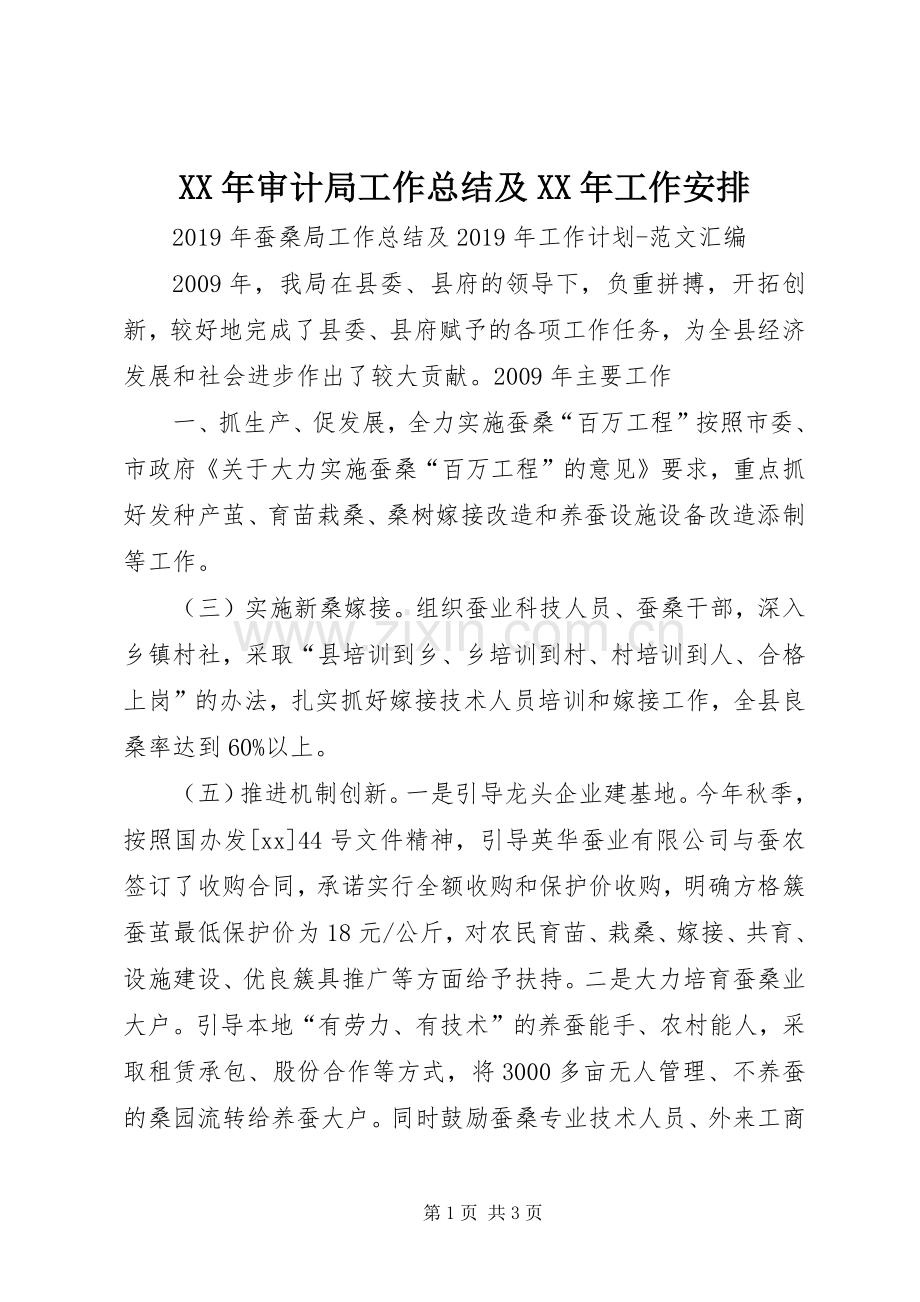 XX年审计局工作总结及XX年工作安排 .docx_第1页