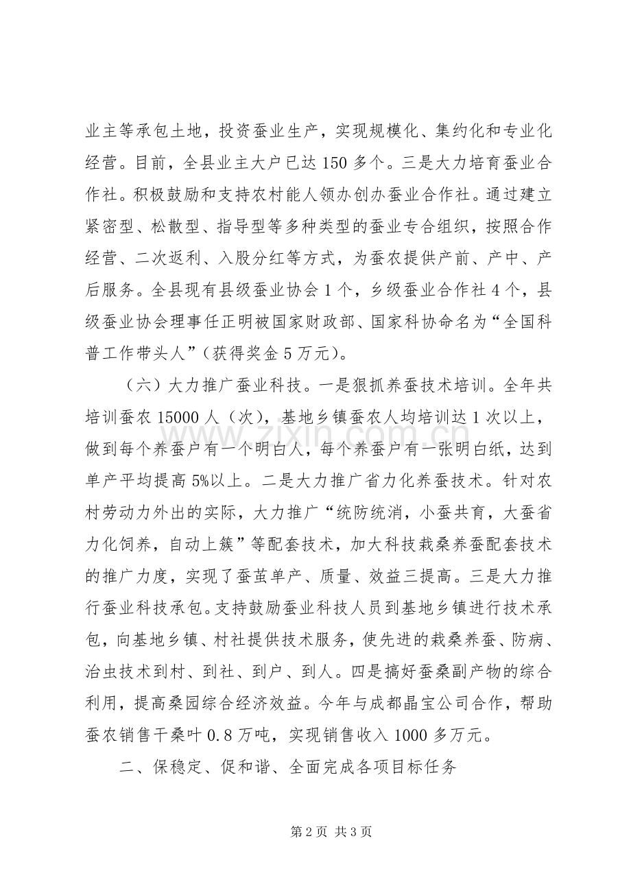 XX年审计局工作总结及XX年工作安排 .docx_第2页