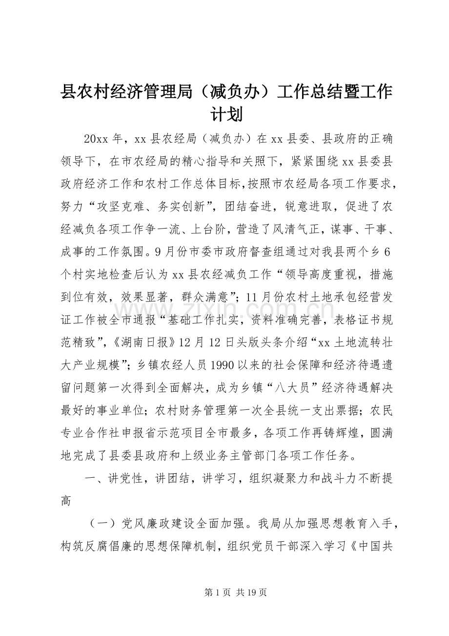 县农村经济管理局（减负办）工作总结暨工作计划.docx_第1页