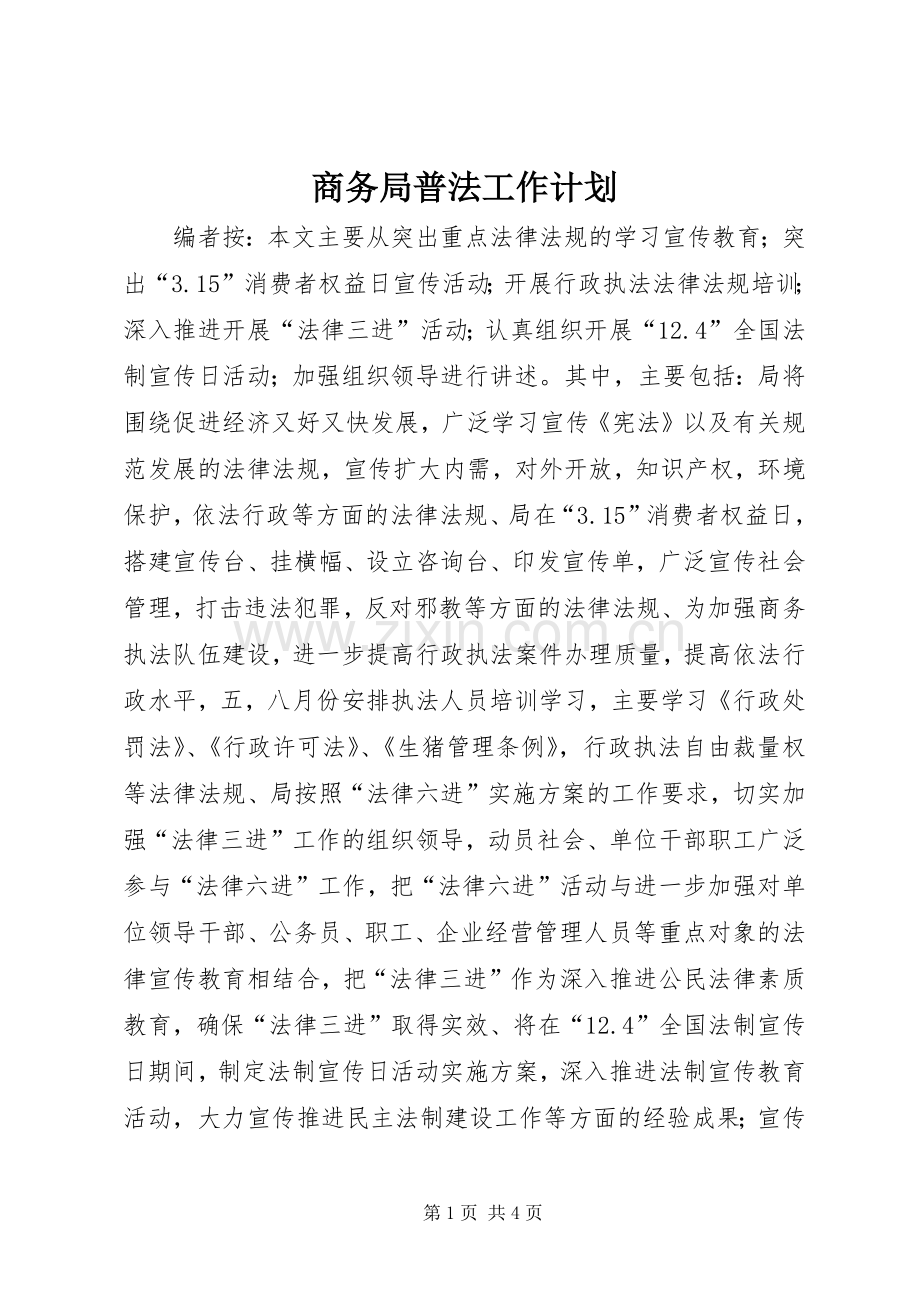 商务局普法工作计划.docx_第1页