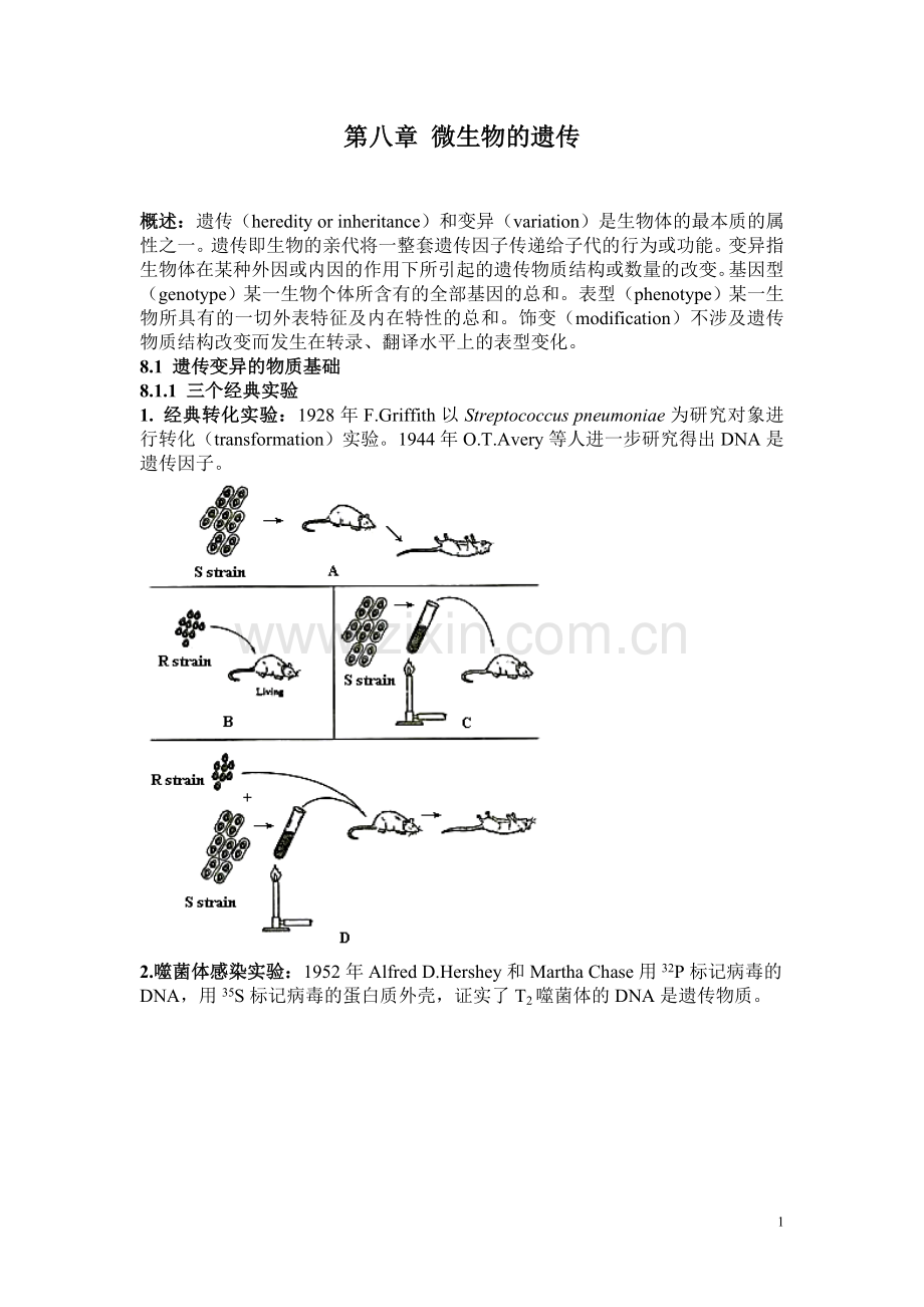 《微生物学》主要知识点-08 第八章 微生物的遗传.doc_第1页