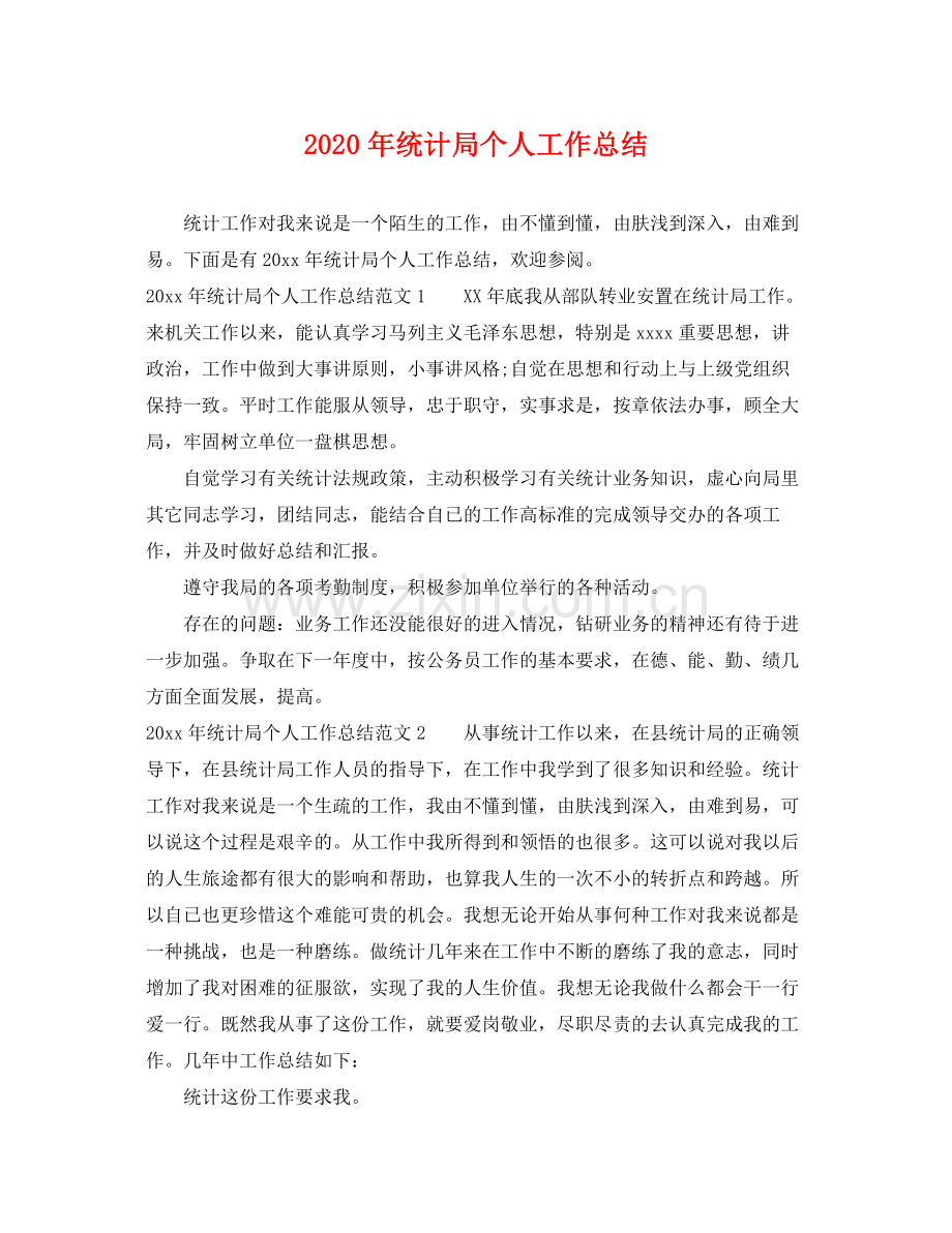 2020年统计局个人工作总结 .docx_第1页