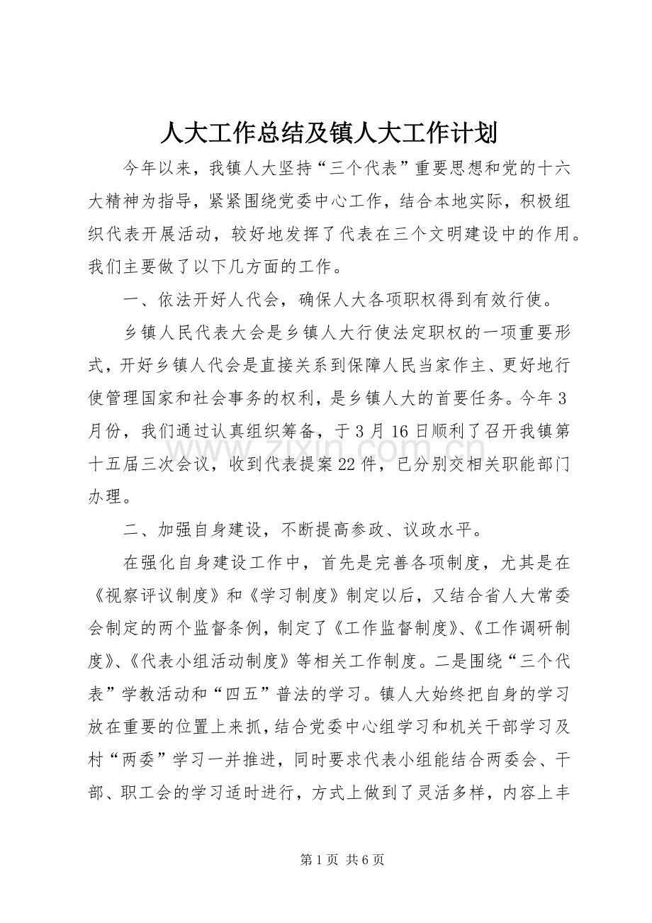 人大工作总结及镇人大工作计划.docx_第1页