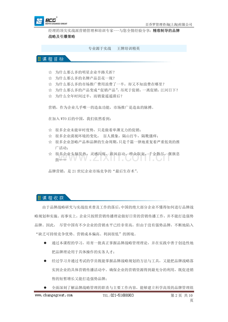 品牌战略与营销创新.doc_第2页