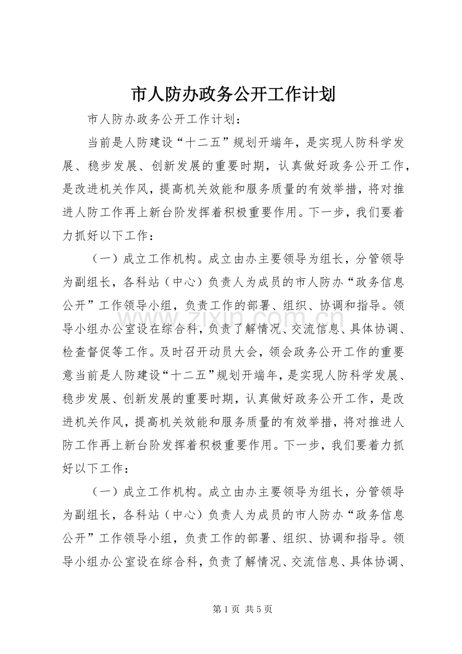 市人防办政务公开工作计划.docx_第1页
