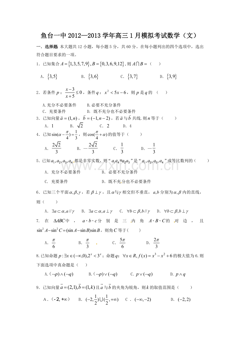 山东省济宁市鱼台一中2013届高三1月模拟考试（期末）数学（文）试题.doc_第1页