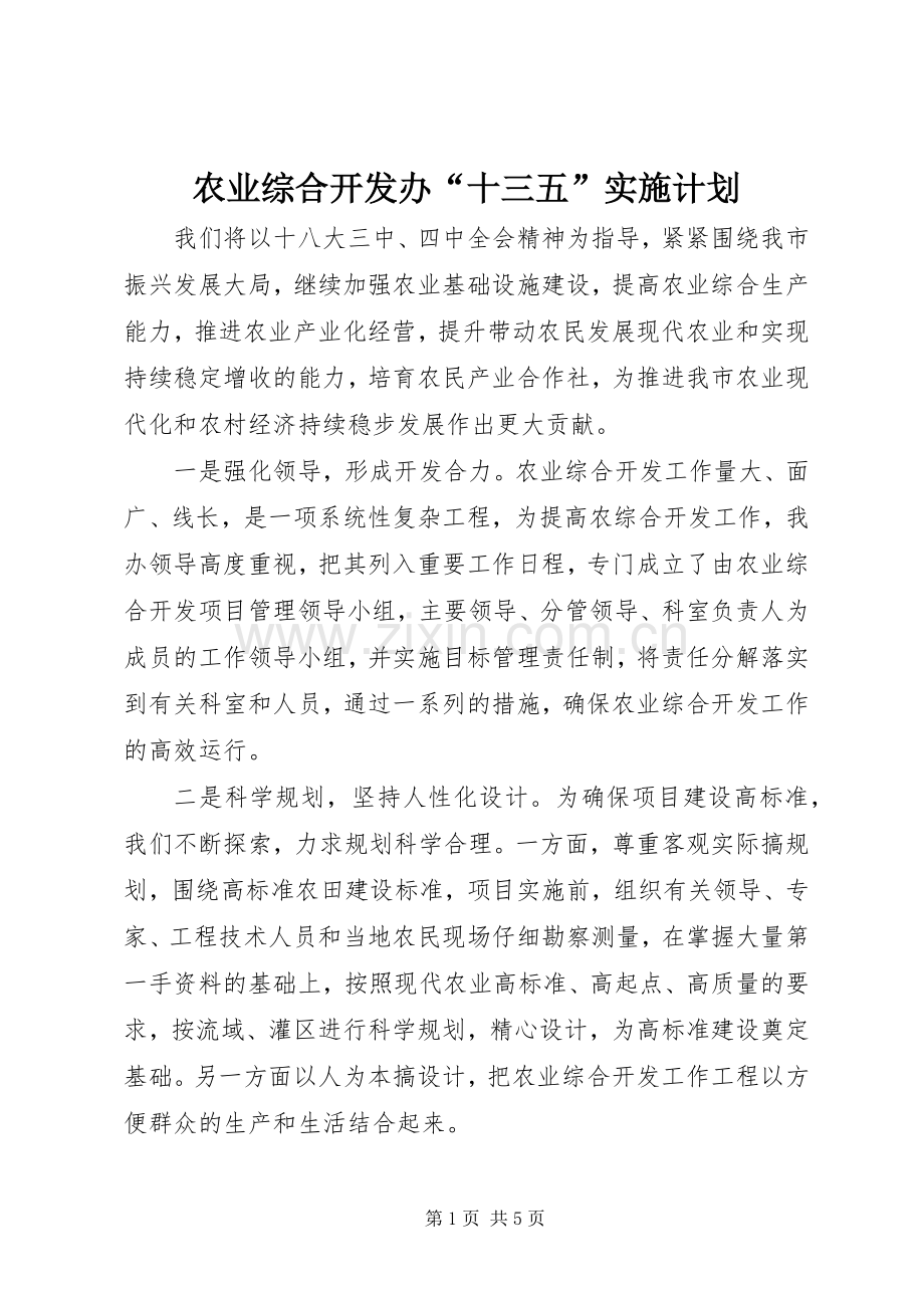 农业综合开发办“十三五”实施计划.docx_第1页
