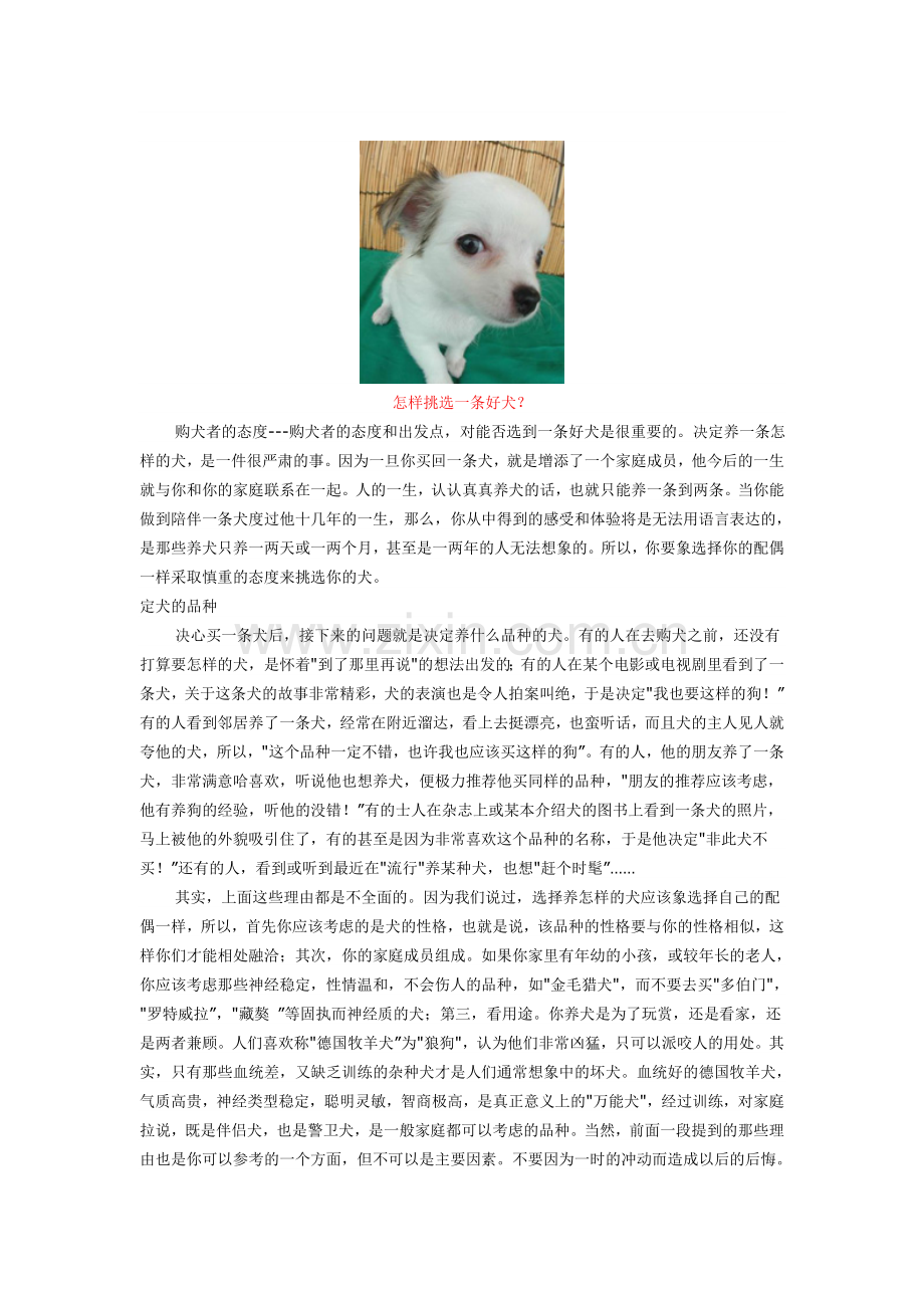 买狗（看完你就是行家).doc_第1页