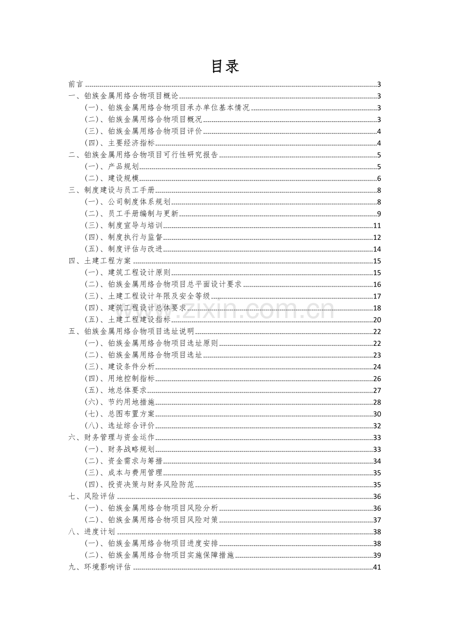 铂族金属用络合物项目商业计划书.docx_第2页