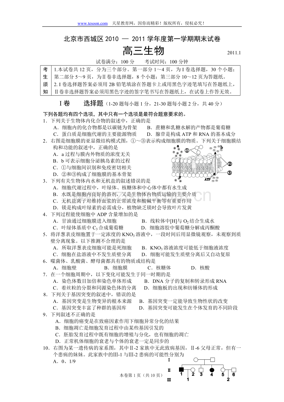 北京市西城区2010 — 2011学年度高三第一学期期末试卷 ....doc_第1页