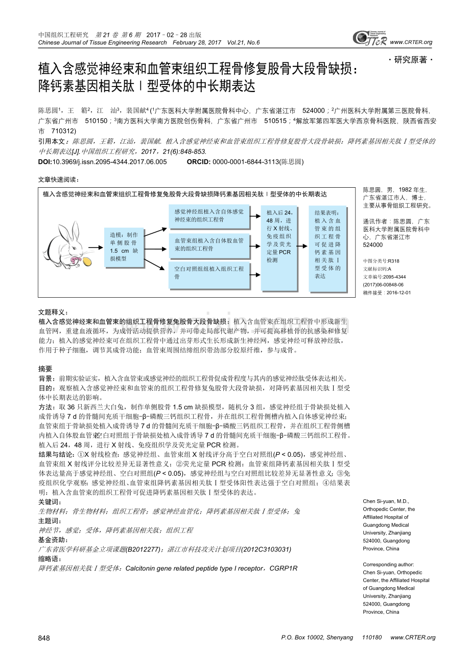 植入含感觉神经束及血管束组织工程骨修复股骨大段骨缺损：降钙素基因相关肽Ⅰ型受体中长期表达.doc_第1页