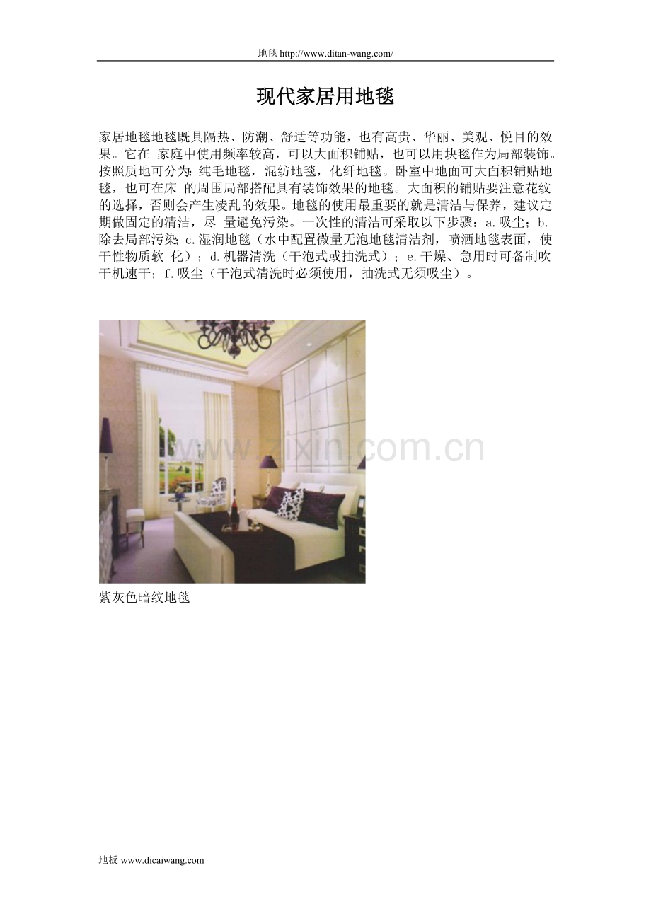 现代家居用地毯.doc_第1页