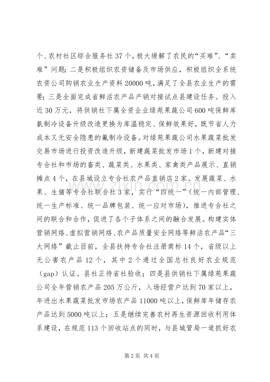 商务年度工作计划.docx_第2页