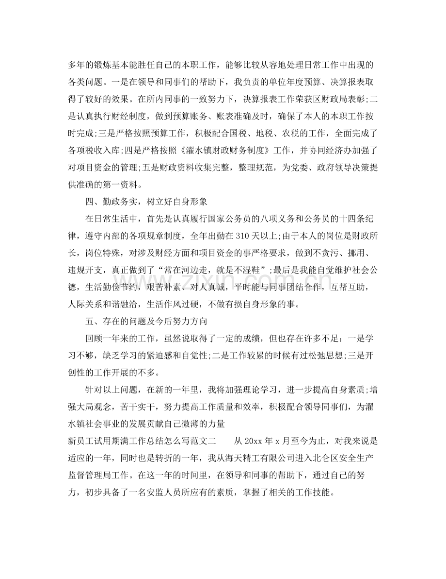 新员工试用期满工作总结怎么写 .docx_第2页