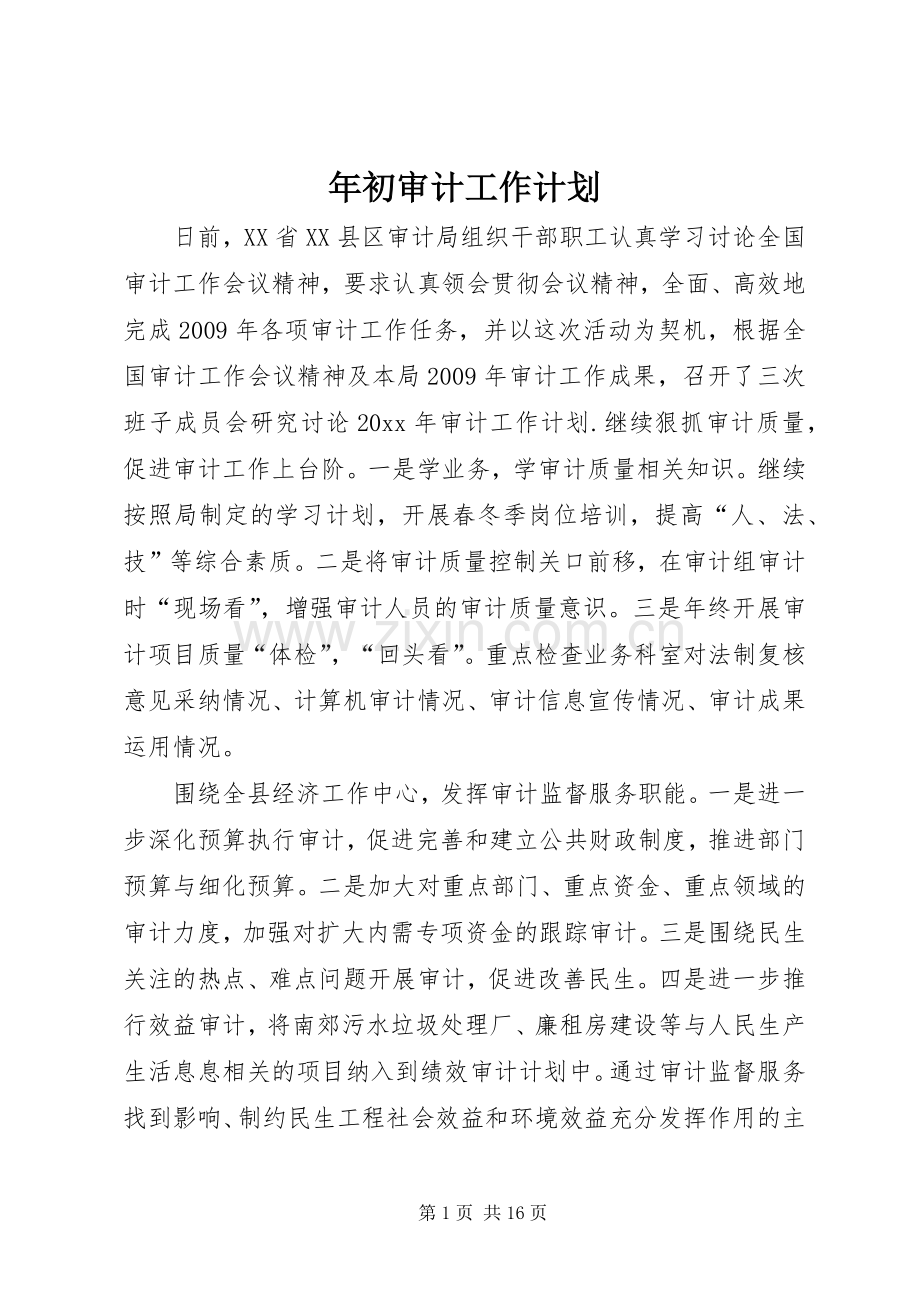 年初审计工作计划.docx_第1页