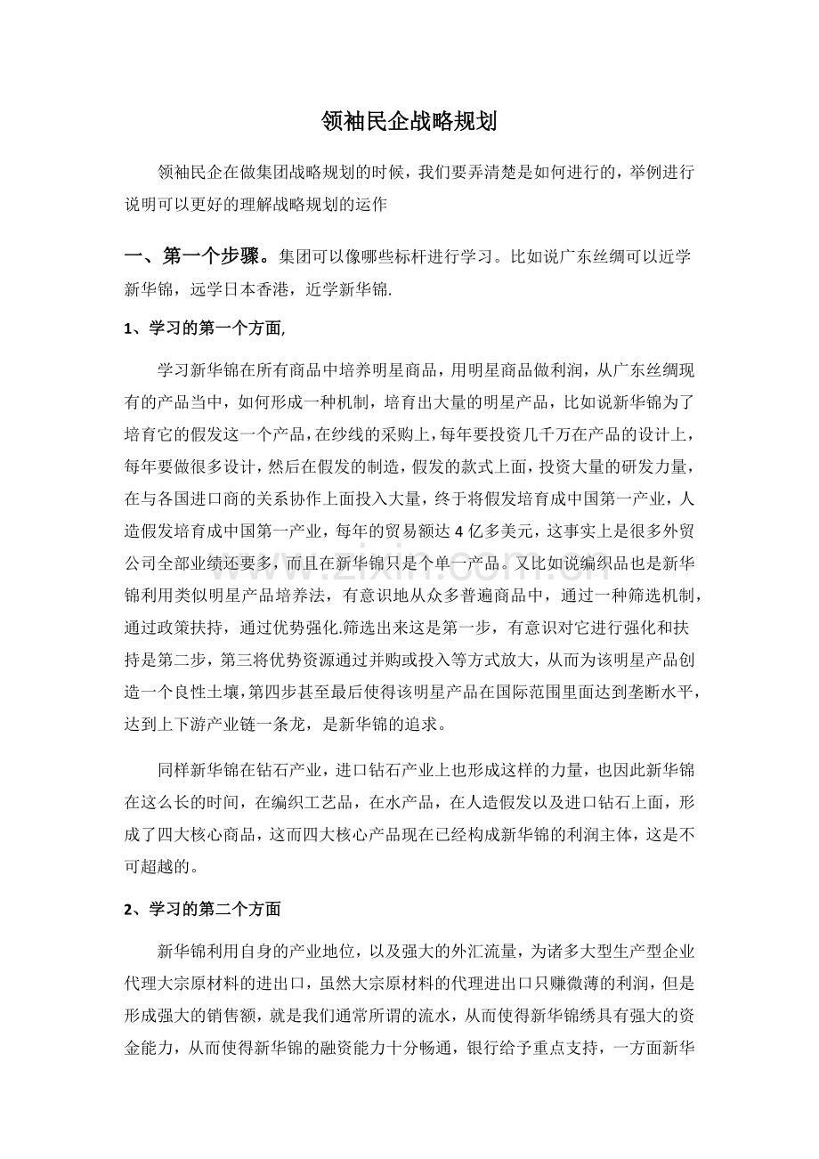领袖民企战略规划.docx_第1页