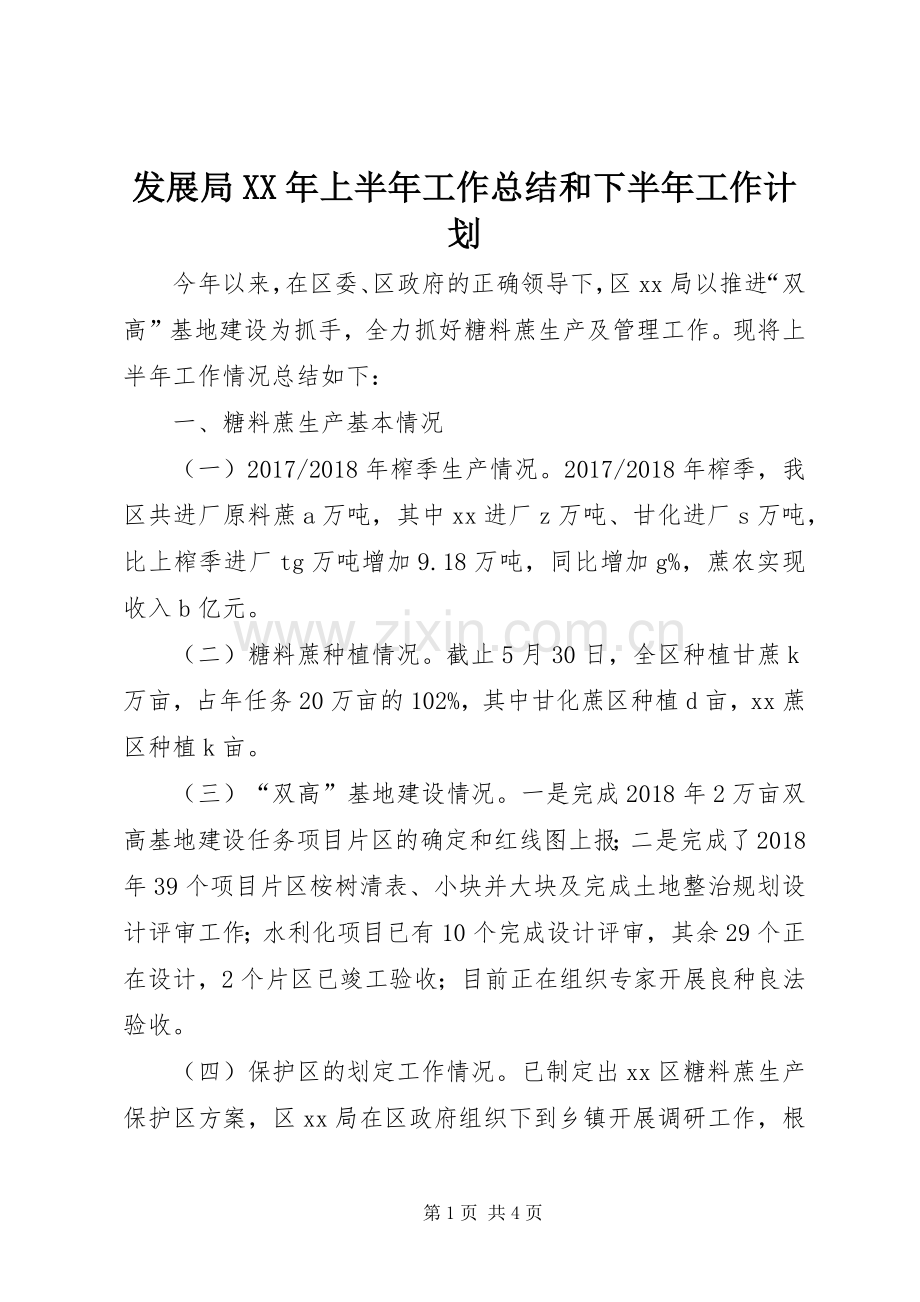 发展局XX年上半年工作总结和下半年工作计划.docx_第1页