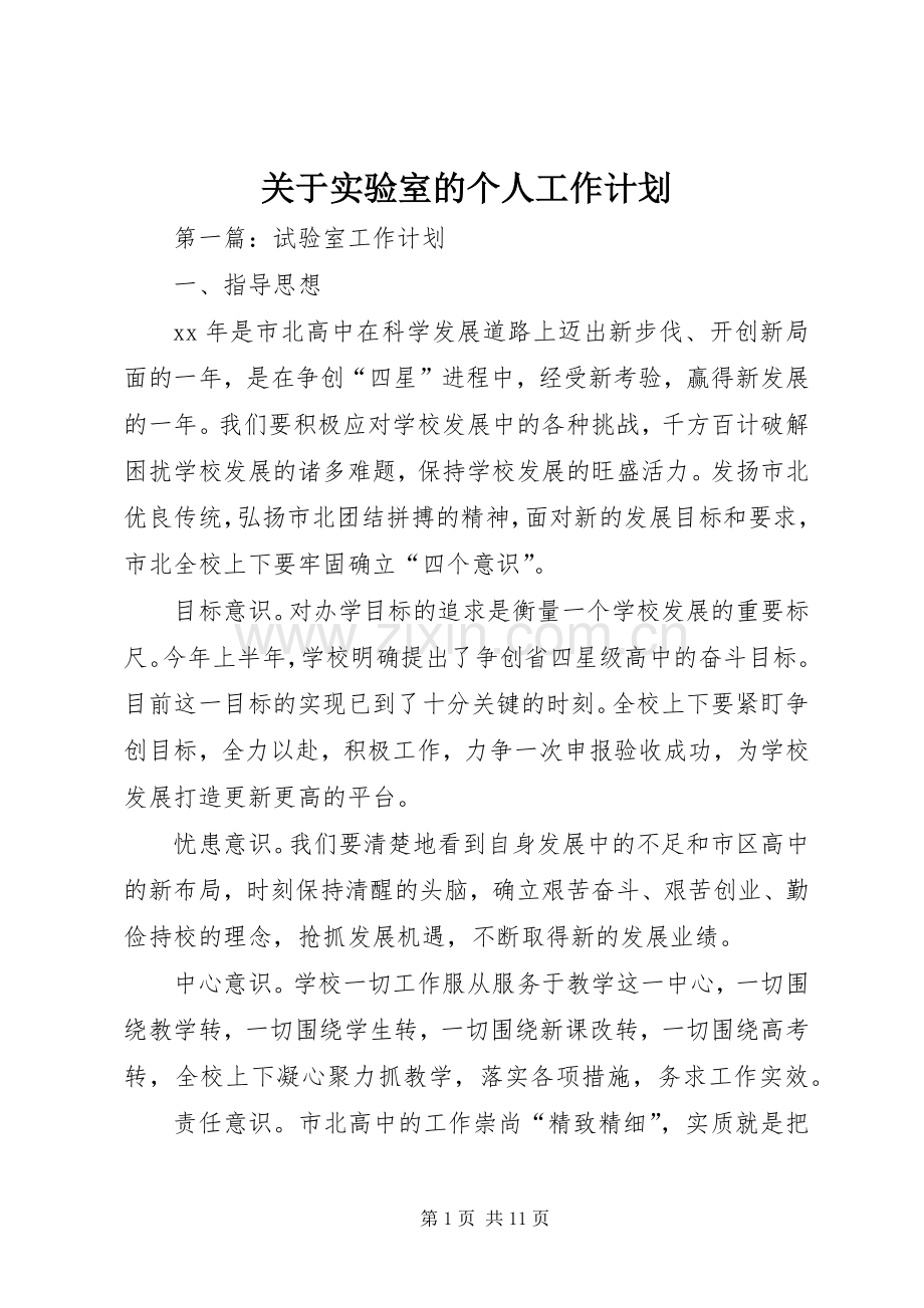 关于实验室的个人工作计划.docx_第1页