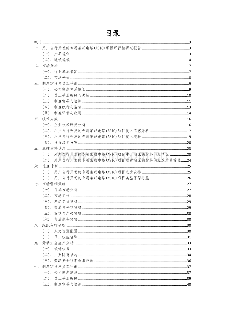 用户自行开发的专用集成电路(ASIC)项目可行性研究报告.docx_第2页