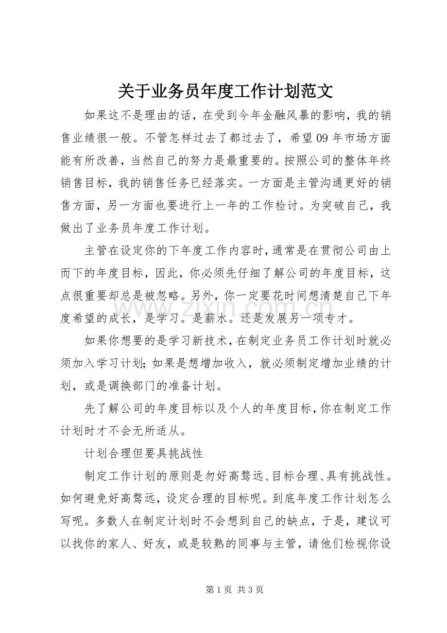 关于业务员年度工作计划范文.docx_第1页