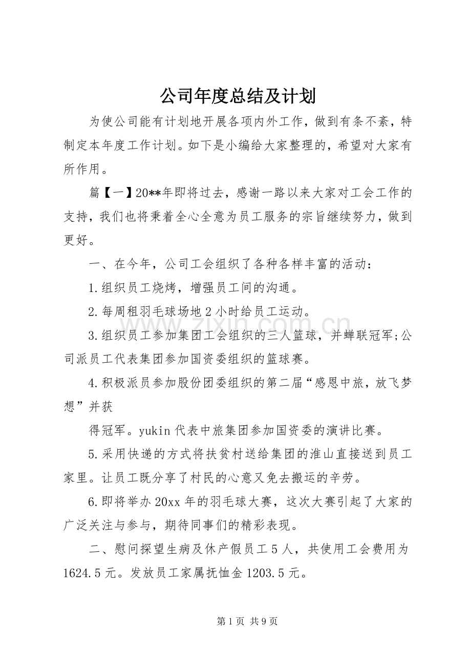 公司年度总结及计划.docx_第1页