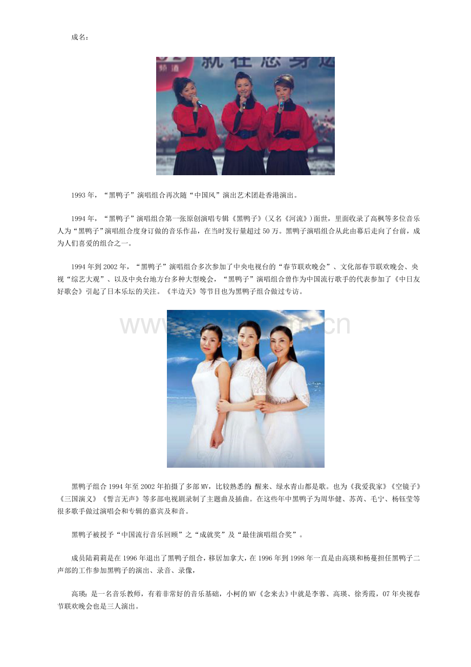 黑鸭子——老泥车经典组合国庆专场演唱会.doc_第2页