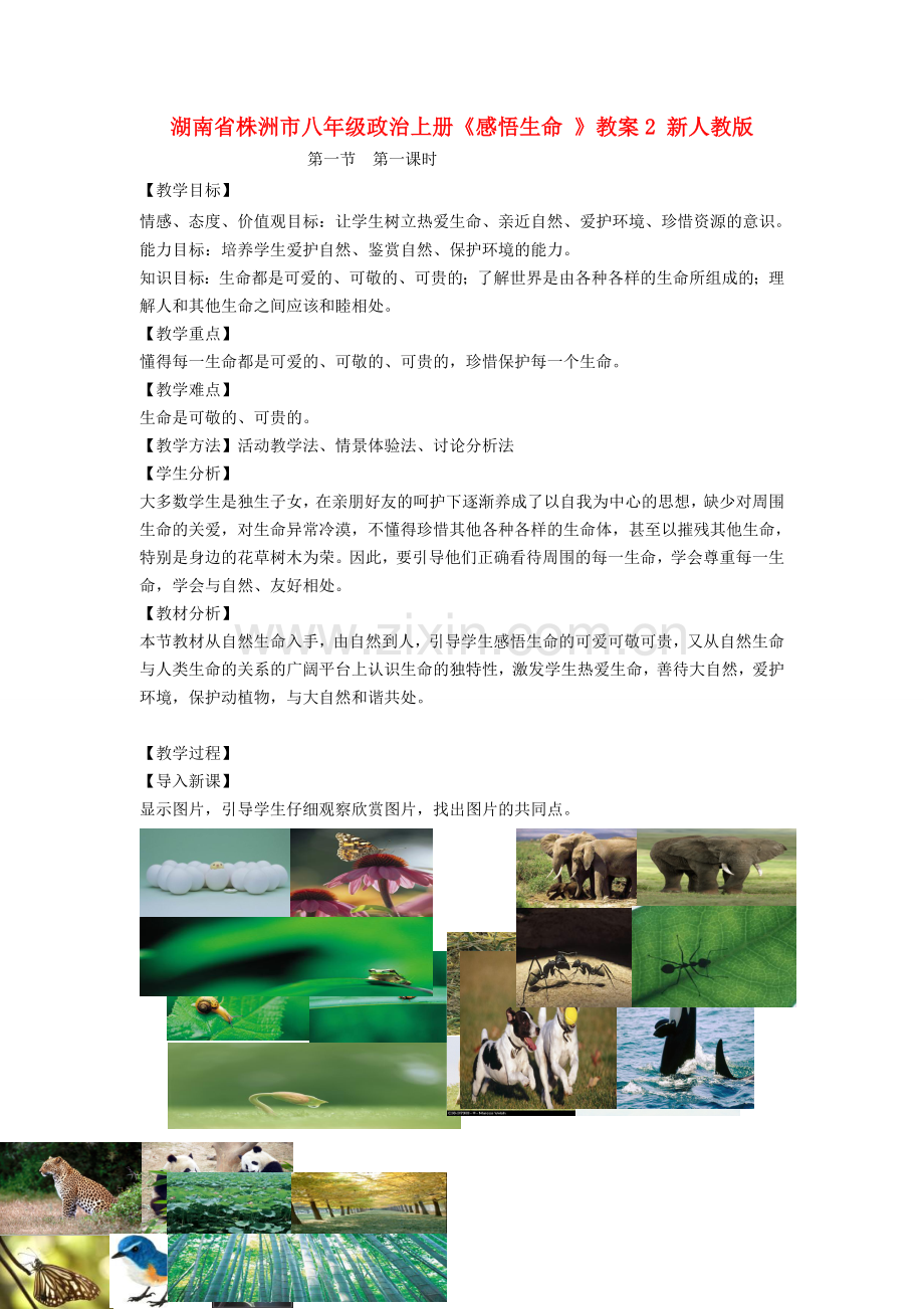湖南省株洲市八年级政治上册《感悟生命 》教案2 新人教版.doc_第1页
