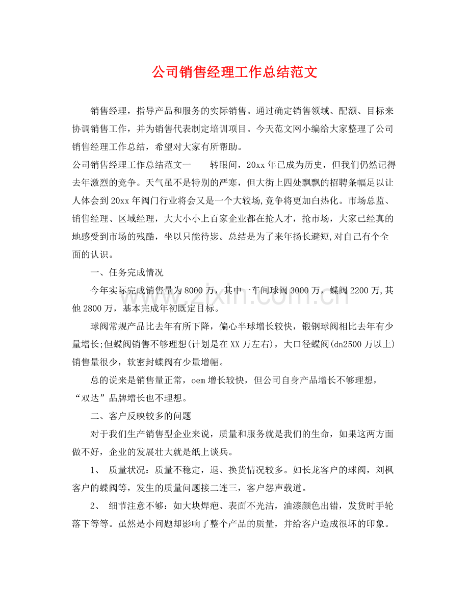 公司销售经理工作总结范文 .docx_第1页
