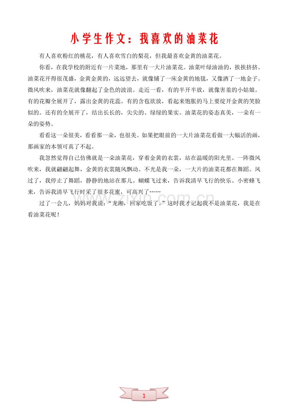 小学生作文：我喜欢的油菜花.doc_第1页