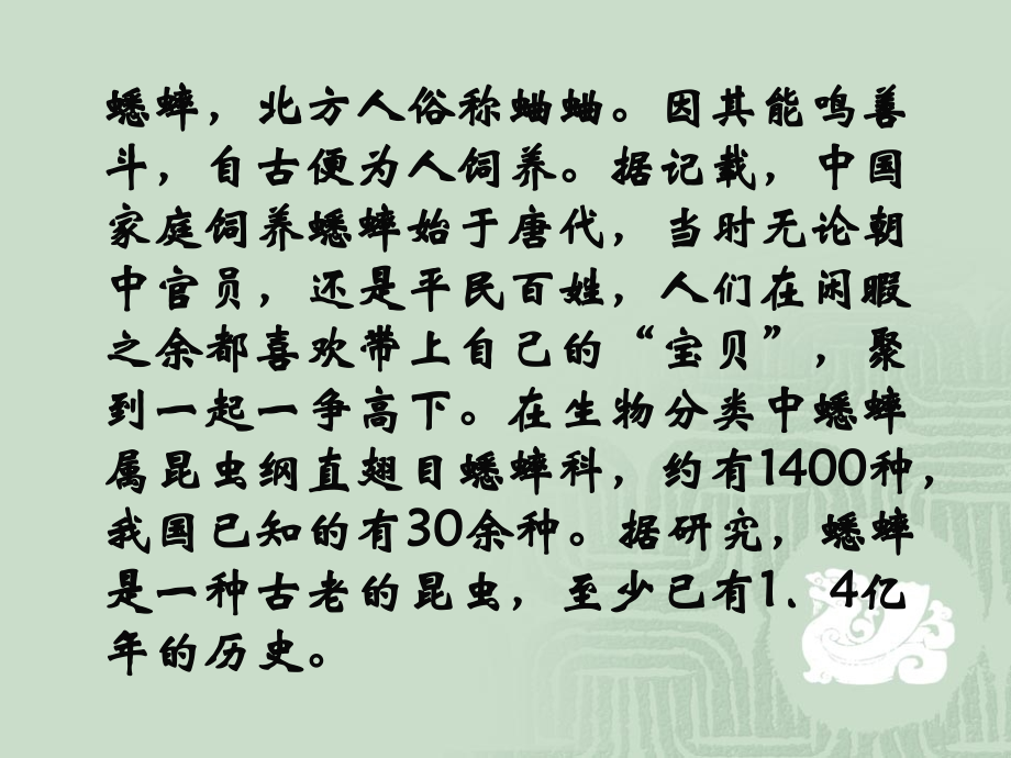 《蟋蟀在时报广场》课件.ppt_第2页