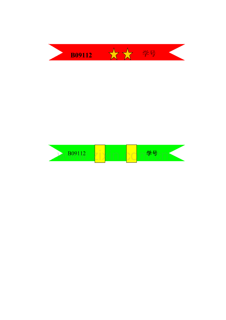 彩带计划.doc_第2页