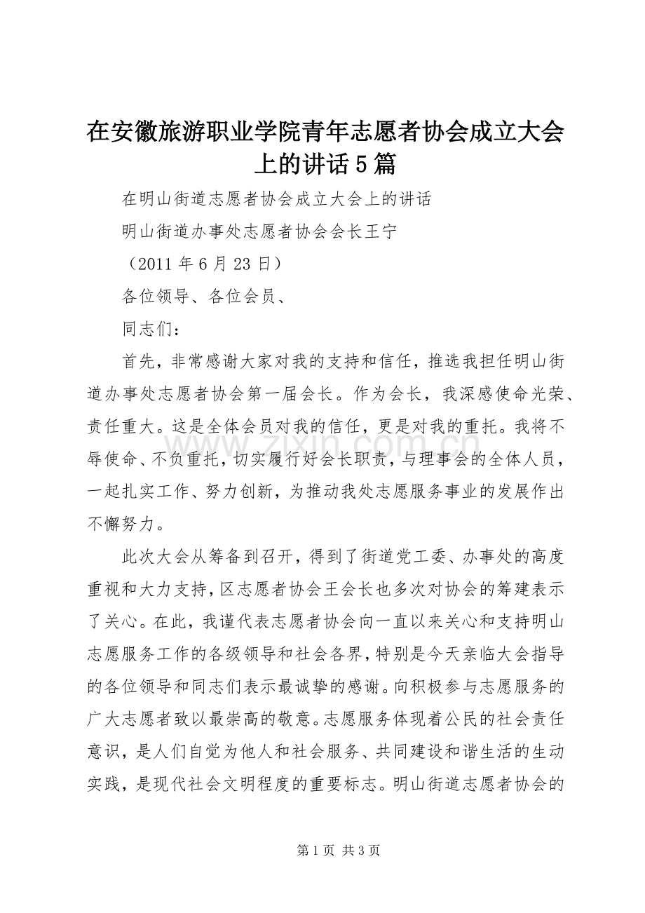 在安徽旅游职业学院青年志愿者协会成立大会上的讲话发言5篇.docx_第1页
