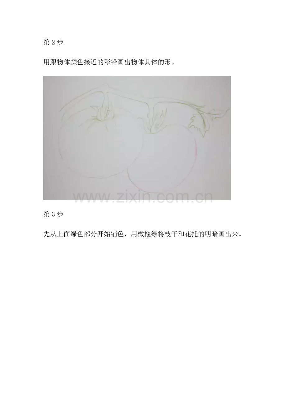 彩铅画西红柿绘画图文步骤教学.docx_第2页