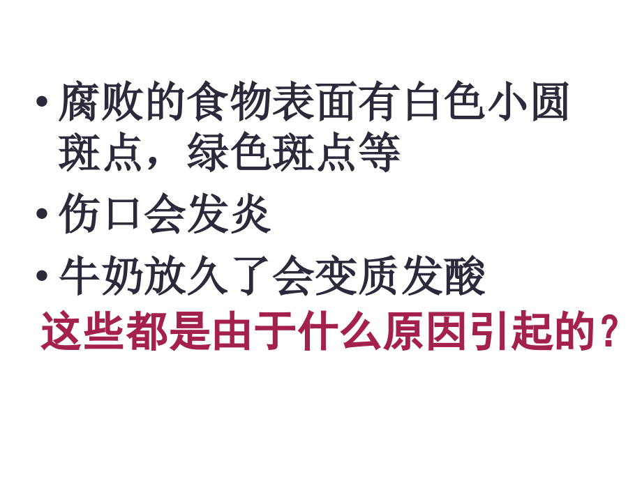 八年级生物细菌和真菌的分布.ppt_第2页