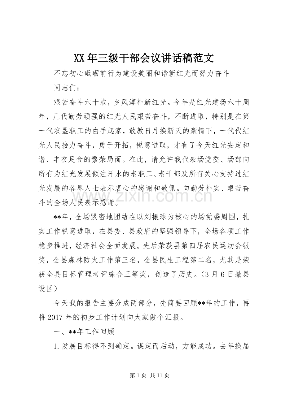 XX年三级干部会议讲话发言稿范文.docx_第1页